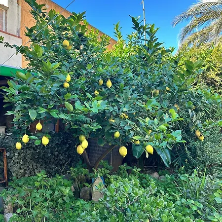 Апартаменты Casa Valeria Wellore Теулада
